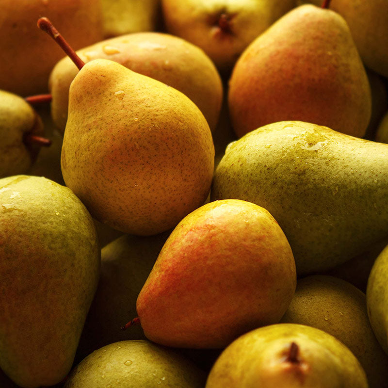 PEAR PERFUMES