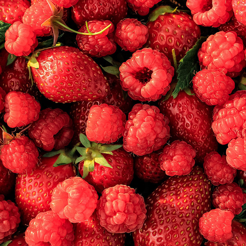 RED BERRIES PERFUMES