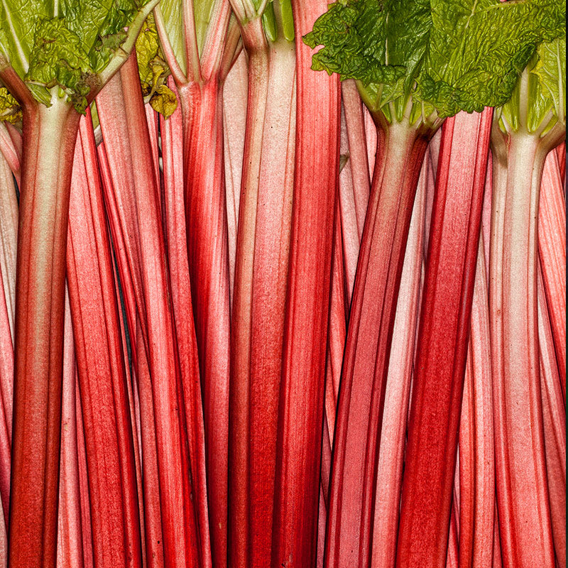 RHUBARB PERFUMES