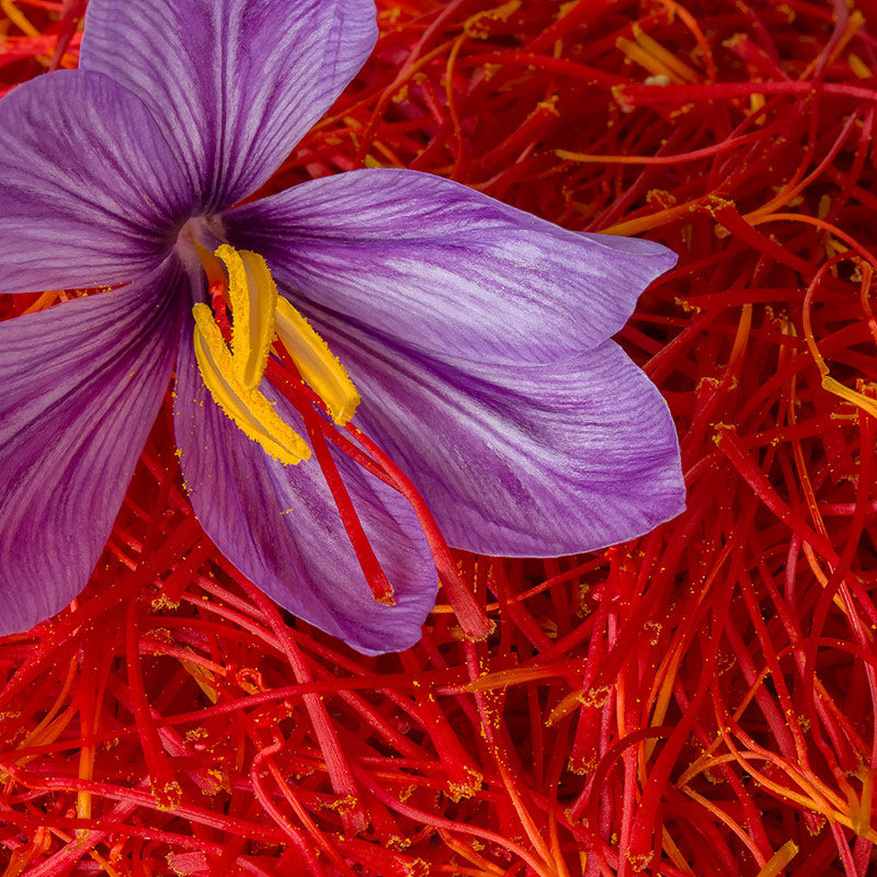 SAFFRON PERFUMES