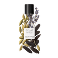 ÉCLAT 703 - Aromatic Cardamom