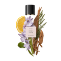 ÉCLAT 241 - Citrus Cedar