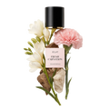 ÉCLAT Fresh Carnation