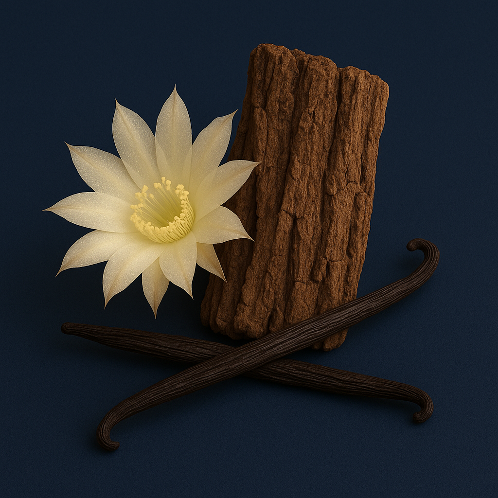 Eine zarte Nachtblühende Blume neben Vanilleschoten und einem strukturierten Rindenstück auf dunklem Hintergrund.